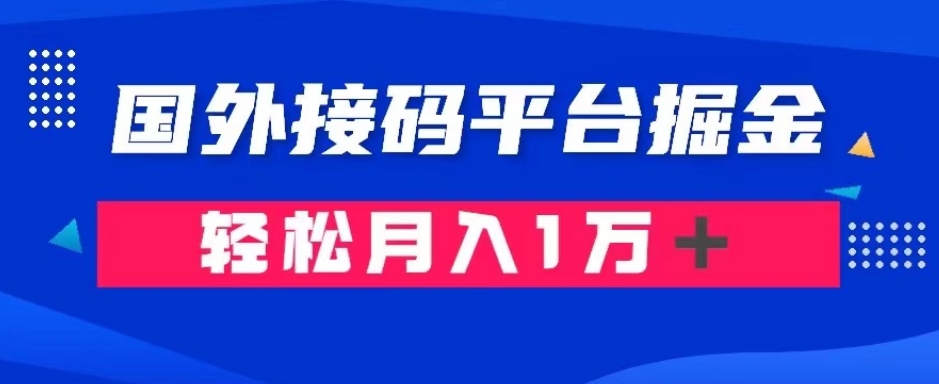 通过国外接码平台掘金：成本1.3，利润10＋，轻松月入1万＋【揭秘】-啄木鸟资源库