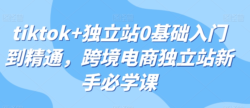 tiktok+独立站0基础入门到精通，跨境电商独立站新手必学课-啄木鸟资源库