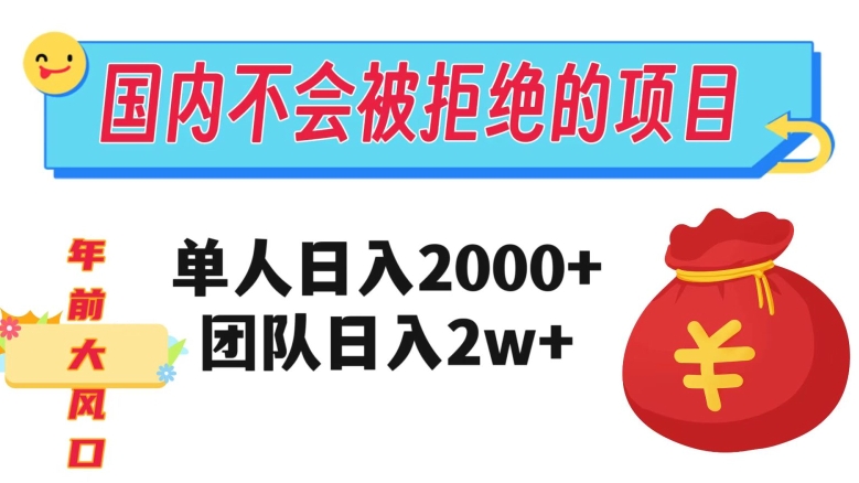 在国内不怕被拒绝的项目，单人日入2000，团队日入20000+【揭秘】-啄木鸟资源库