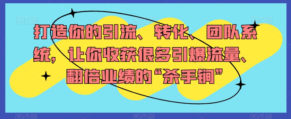 打造你的引流、转化、团队系统，让你收获很多引爆流量、翻倍业绩的“杀手锏”-啄木鸟资源库