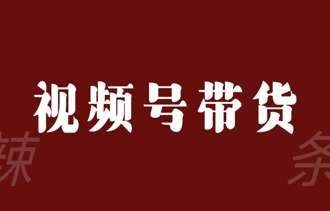 视频号带货联盟，赚信息差的带货钱，只需手机随时随地都可以做！-啄木鸟资源库