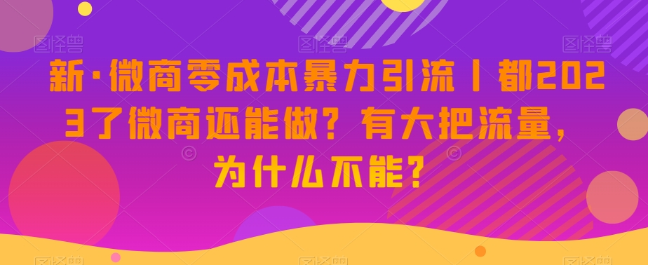 新·微商零成本暴力引流丨都2023了微商还能做？有大把流量，为什么不能？-啄木鸟资源库