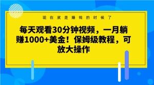 每天观看30分钟视频，一月躺赚1000+美金！保姆级教程，可放大操作【揭秘】-啄木鸟资源库