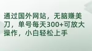 通过国外网站，无脑赚美刀，单号每天300+可放大操作，小白轻松上手【揭秘】-啄木鸟资源库