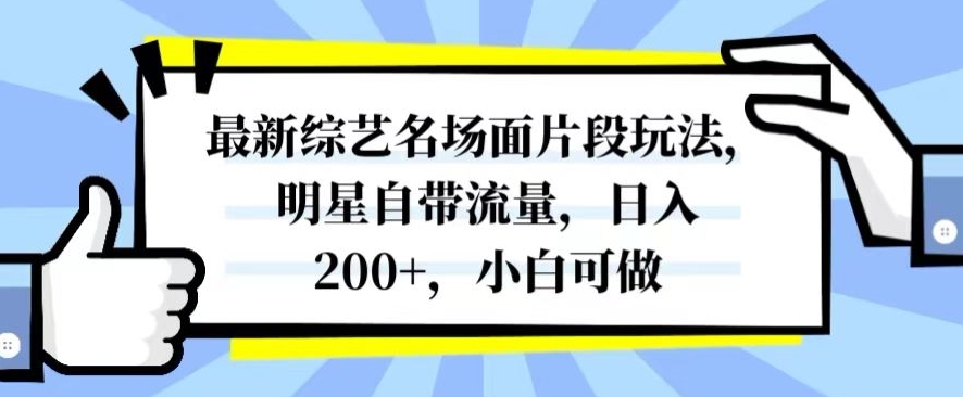 最新综艺名场面片段玩法，明星自带流量，日入200+，小白可做【揭秘】-啄木鸟资源库