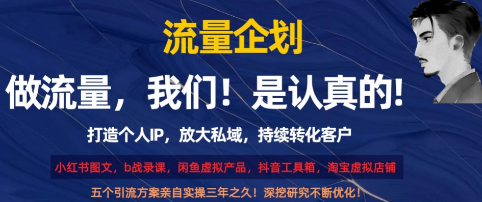 流量企划，打造个人IP，放大私域，持续转化客户【揭秘】-啄木鸟资源库