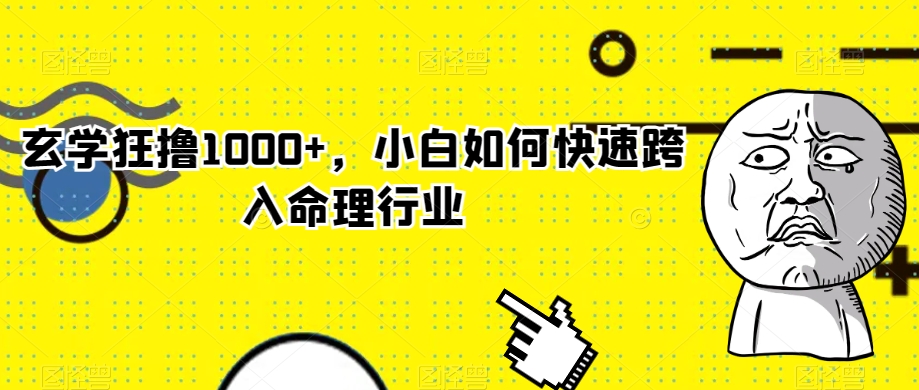 玄学狂撸1000+，小白如何快速跨入命理行业【揭秘】-啄木鸟资源库