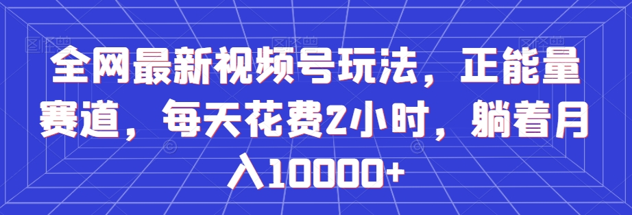 全网最新视频号玩法，正能量赛道，每天花费2小时，躺着月入10000+【揭秘】-啄木鸟资源库