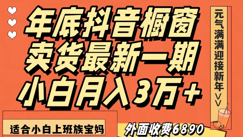 外面收费6890元年底抖音橱窗卖货最新一期，小白月入3万，适合小白上班族宝妈【揭秘】-啄木鸟资源库