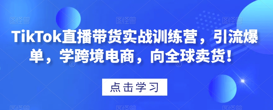 TikTok直播带货实战训练营，引流爆单，学跨境电商，向全球卖货！-啄木鸟资源库