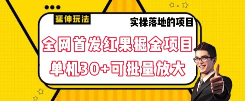 全网首发红果免费短剧掘金项目，单机30+可批量放大【揭秘】-啄木鸟资源库