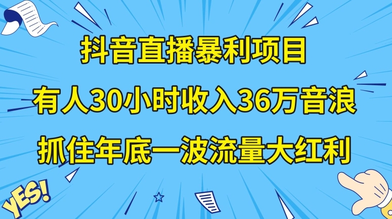 抖音直播暴利项目，有人30小时收入36万音浪，公司宣传片年会视频制作，抓住年底一波流量大红利【揭秘】-啄木鸟资源库