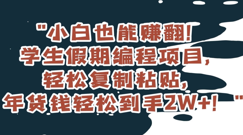 小白也能赚翻！学生假期编程项目，轻松复制粘贴，年货钱轻松到手2W+【揭秘】-啄木鸟资源库