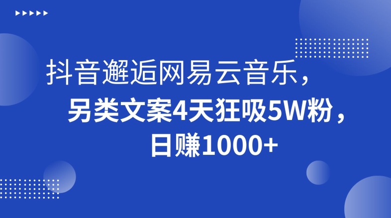 抖音邂逅网易云音乐，另类文案4天狂吸5W粉，日赚1000+【揭秘】-啄木鸟资源库