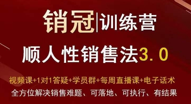 爆款！销冠训练营3.0之顺人性销售法，全方位解决销售难题、可落地、可执行、有结果-啄木鸟资源库