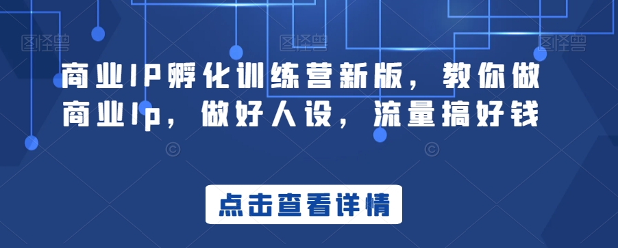 商业IP孵化训练营新版，教你做商业Ip，做好人设，流量搞好钱-啄木鸟资源库