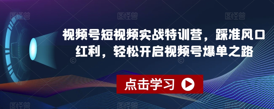 视频号短视频实战特训营，踩准风口红利，轻松开启视频号爆单之路-啄木鸟资源库