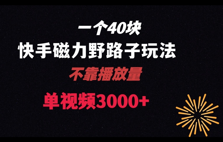 一个40块，快手联合美团磁力新玩法，无视机制野路子玩法，单视频收益4位数【揭秘】-啄木鸟资源库