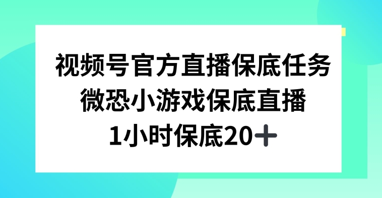 视频号直播任务，微恐小游戏，1小时20+【揭秘】-啄木鸟资源库