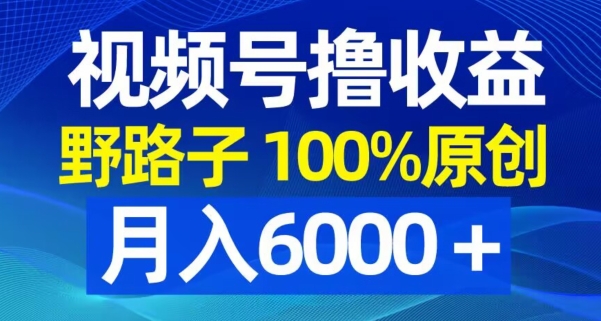 视频号野路子撸收益，100%原创，条条爆款，月入6000＋【揭秘】-啄木鸟资源库