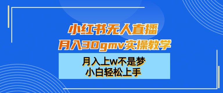 小红书无人直播月入30gmv实操教学，月入上w不是梦，小白轻松上手【揭秘】-啄木鸟资源库