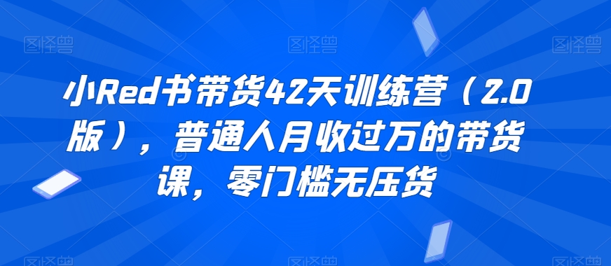 小Red书带货42天训练营（2.0版），普通人月收过万的带货课，零门槛无压货-啄木鸟资源库