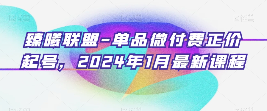 臻曦联盟-单品微付费正价起号，2024年1月最新课程-啄木鸟资源库