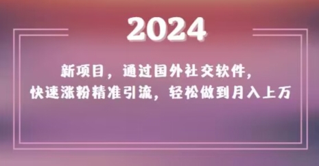 2024新项目，通过国外社交软件，快速涨粉精准引流，轻松做到月入上万【揭秘】-啄木鸟资源库