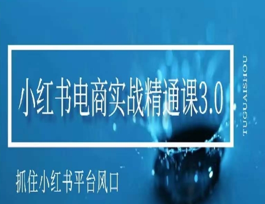 小红书电商实战精通课3.0，抓住小红书平台的风口，不错过有一个赚钱的机会-啄木鸟资源库