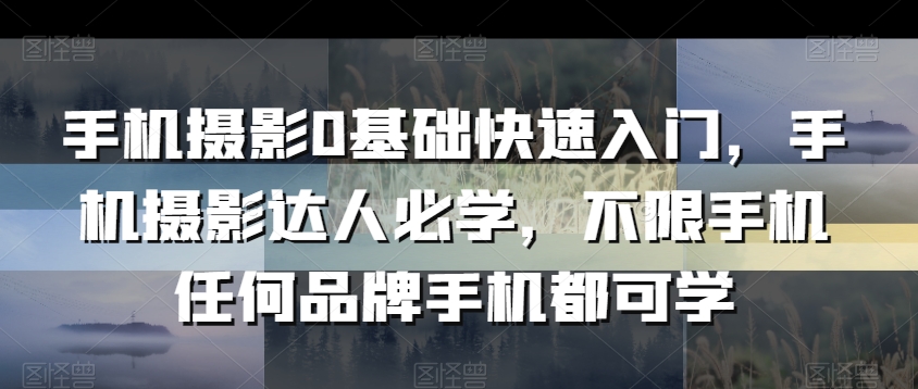 手机摄影0基础快速入门，手机摄影达人必学，不限手机任何品牌手机都可学-啄木鸟资源库