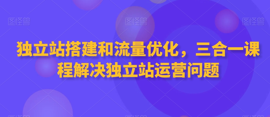 独立站搭建和流量优化，三合一课程解决独立站运营问题-啄木鸟资源库