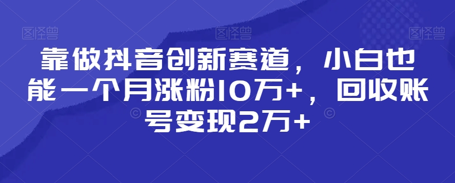 靠做抖音创新赛道，小白也能一个月涨粉10万+，回收账号变现2万+【揭秘】-啄木鸟资源库