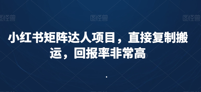 小红书矩阵达人项目，直接复制搬运，回报率非常高-啄木鸟资源库