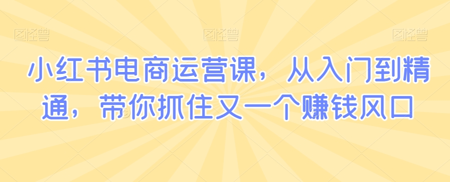 小红书电商运营课，从入门到精通，带你抓住又一个赚钱风口-啄木鸟资源库