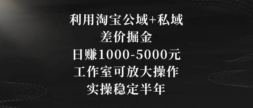 利用淘宝公域+私域差价掘金，日赚1000-5000元，工作室可放大操作，实操稳定半年【揭秘】-啄木鸟资源库