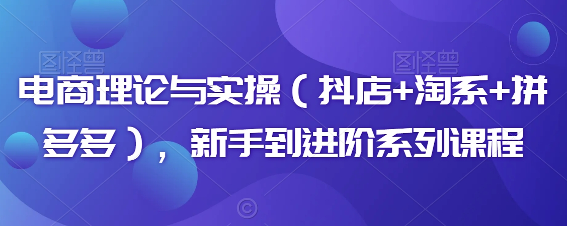 电商理论与实操（抖店+淘系+拼多多），新手到进阶系列课程-啄木鸟资源库