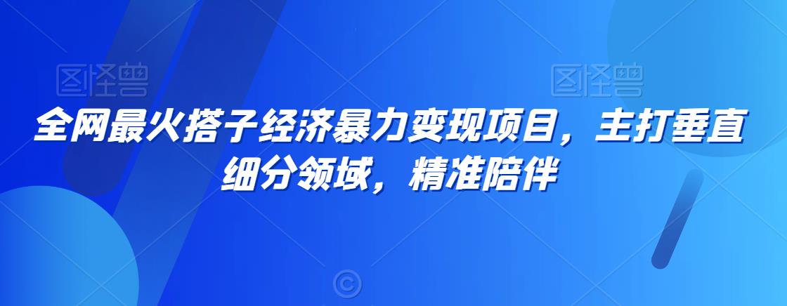 全网最火搭子经济暴力变现项目，主打垂直细分领域，精准陪伴【揭秘】-啄木鸟资源库