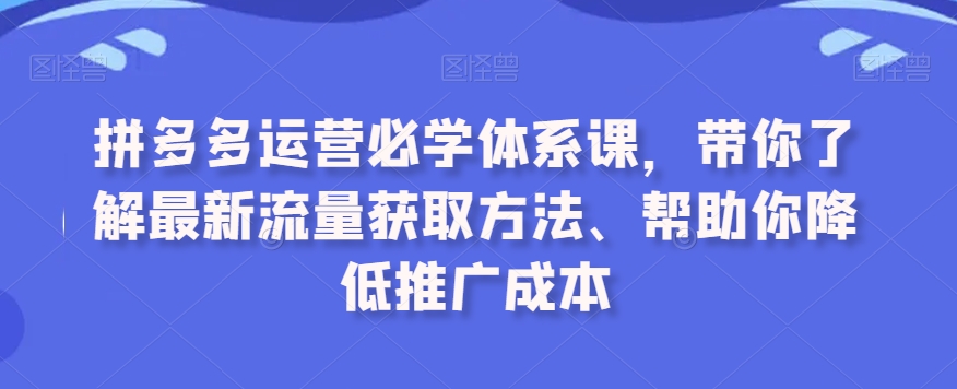 拼多多运营必学体系课，带你了解最新流量获取方法、帮助你降低推广成本-啄木鸟资源库