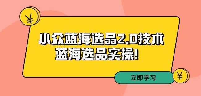 拼多多培训第33期：小众蓝海选品2.0技术-蓝海选品实操！-啄木鸟资源库