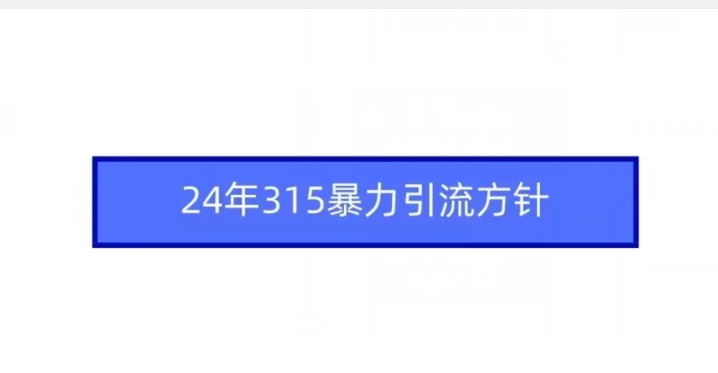 24年315暴力引流方针-啄木鸟资源库