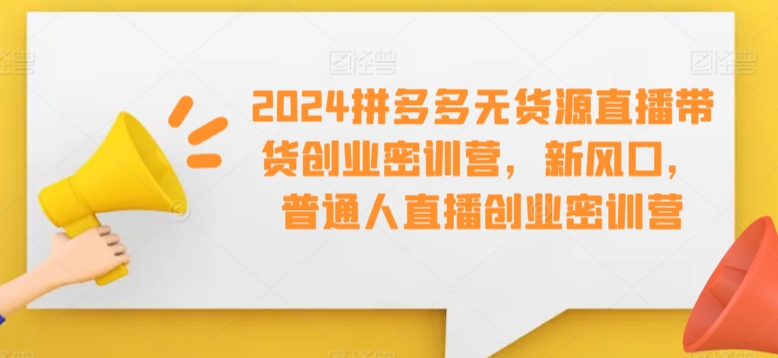 2024拼多多无货源直播带货创业密训营，新风口，普通人直播创业密训营-啄木鸟资源库