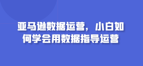 亚马逊数据运营，小白如何学会用数据指导运营-啄木鸟资源库