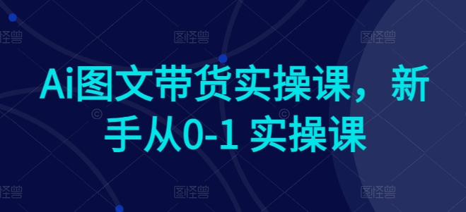 Ai图文带货实操课，新手从0-1 实操课-啄木鸟资源库