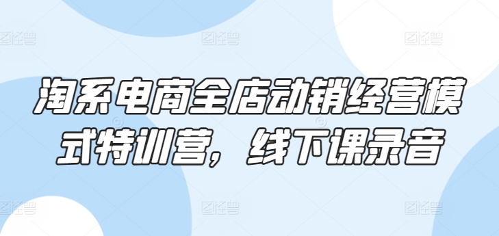 淘系电商全店动销经营模式特训营，线下课录音-啄木鸟资源库