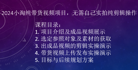 2024小淘纯带货视频项目，无需自己实拍纯剪辑操作-啄木鸟资源库