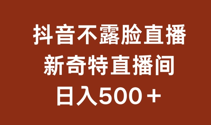 不露脸挂机直播，新奇特直播间，日入500+【揭秘】-啄木鸟资源库