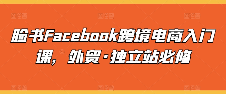 脸书Facebook跨境电商入门课，外贸·独立站必修-啄木鸟资源库