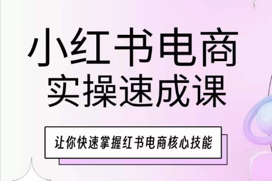 小红书电商实操速成课，让你快速掌握红书电商核心技能-啄木鸟资源库