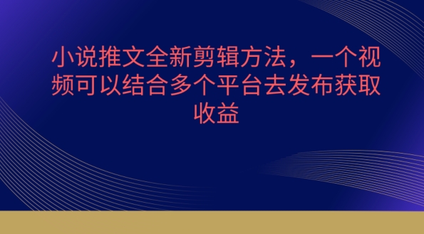 小说推文全新剪辑方法，一个视频可以结合多个平台去发布获取【揭秘】-啄木鸟资源库