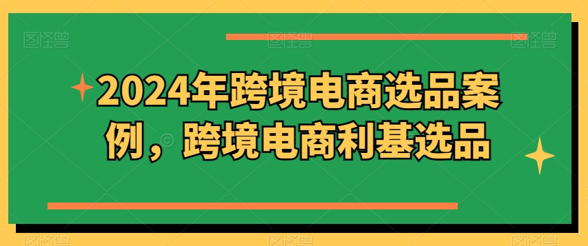 2024年跨境电商选品案例，跨境电商利基选品-啄木鸟资源库